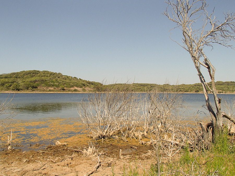 Lago Baratz - Sardinien Reisebericht - Eine Rundreise in Sardinien mit dem eigenen Auto | Stefanie Reindl Photography OLYMPUS DIGITAL CAMERA