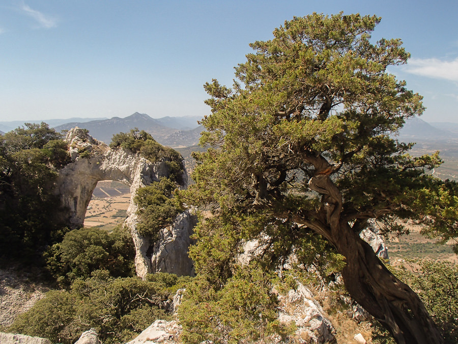 Mit dem Rad auf den Monte Tuttavista in Orosei - Sardinien Reisebericht - Eine Rundreise in Sardinien mit dem eigenen Auto | Stefanie Reindl Photography