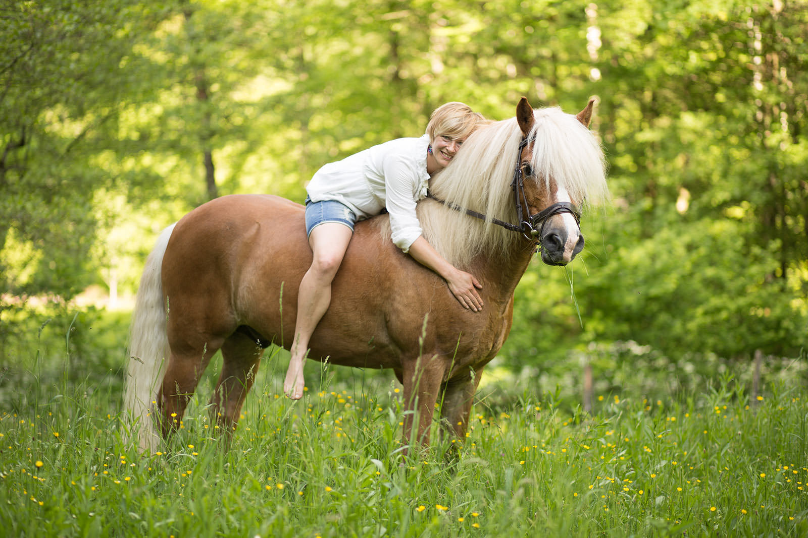 Blonde Frau umarmt ihren Haflinger Hengst. Pferdefotoshooting von Stefanie Reindl