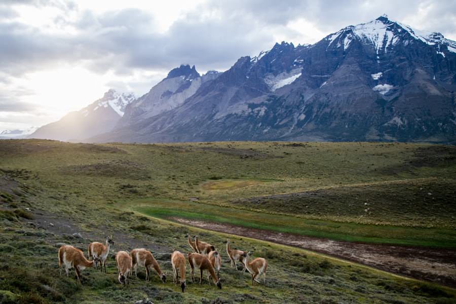 Torres del Paine National Park Wandern | Roadtrip Chile und Argentinien | Patagonien Reise | Patagonien Bilder von Rolling Adventure